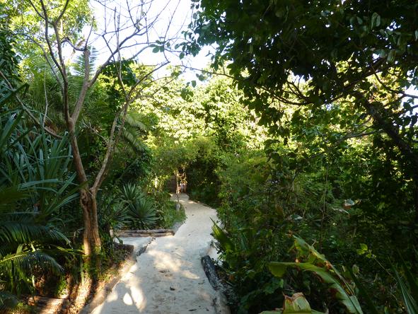 Fundu Lagoon - Walk 